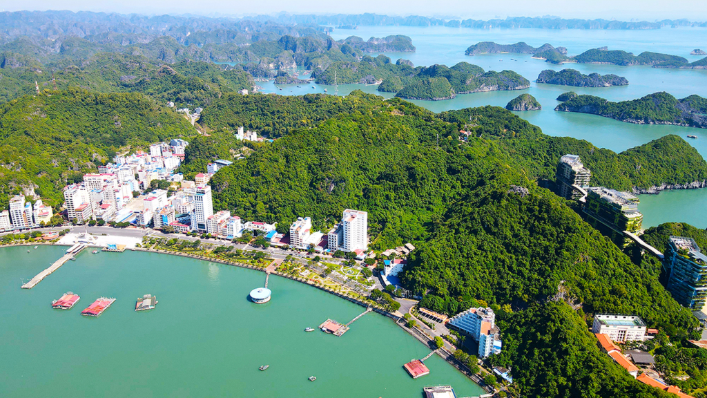 Ha Long Diamond Cruise Hai Phong City Lan Ha Overview