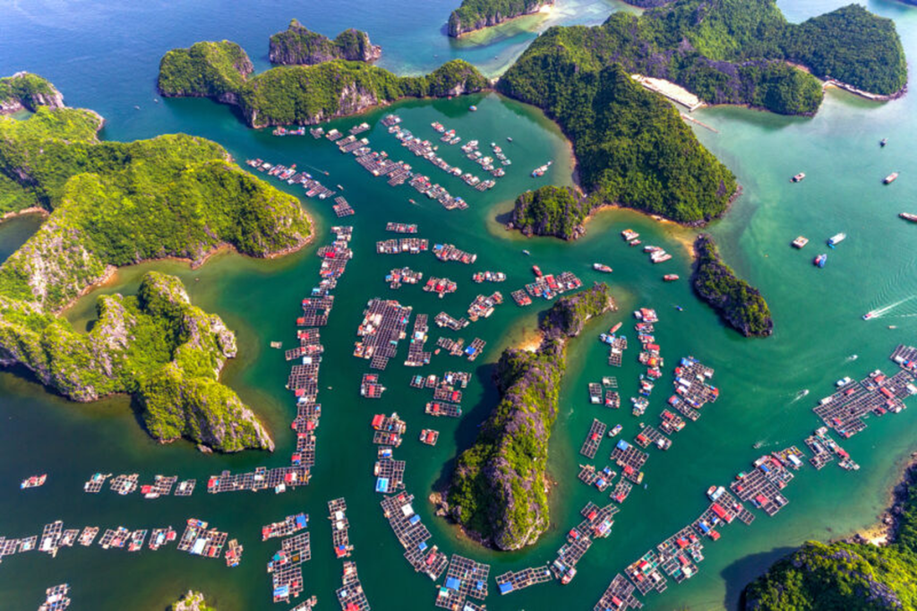 Ha Long Diamond Cruise Lan Ha Bay Cai Beo Floating Village