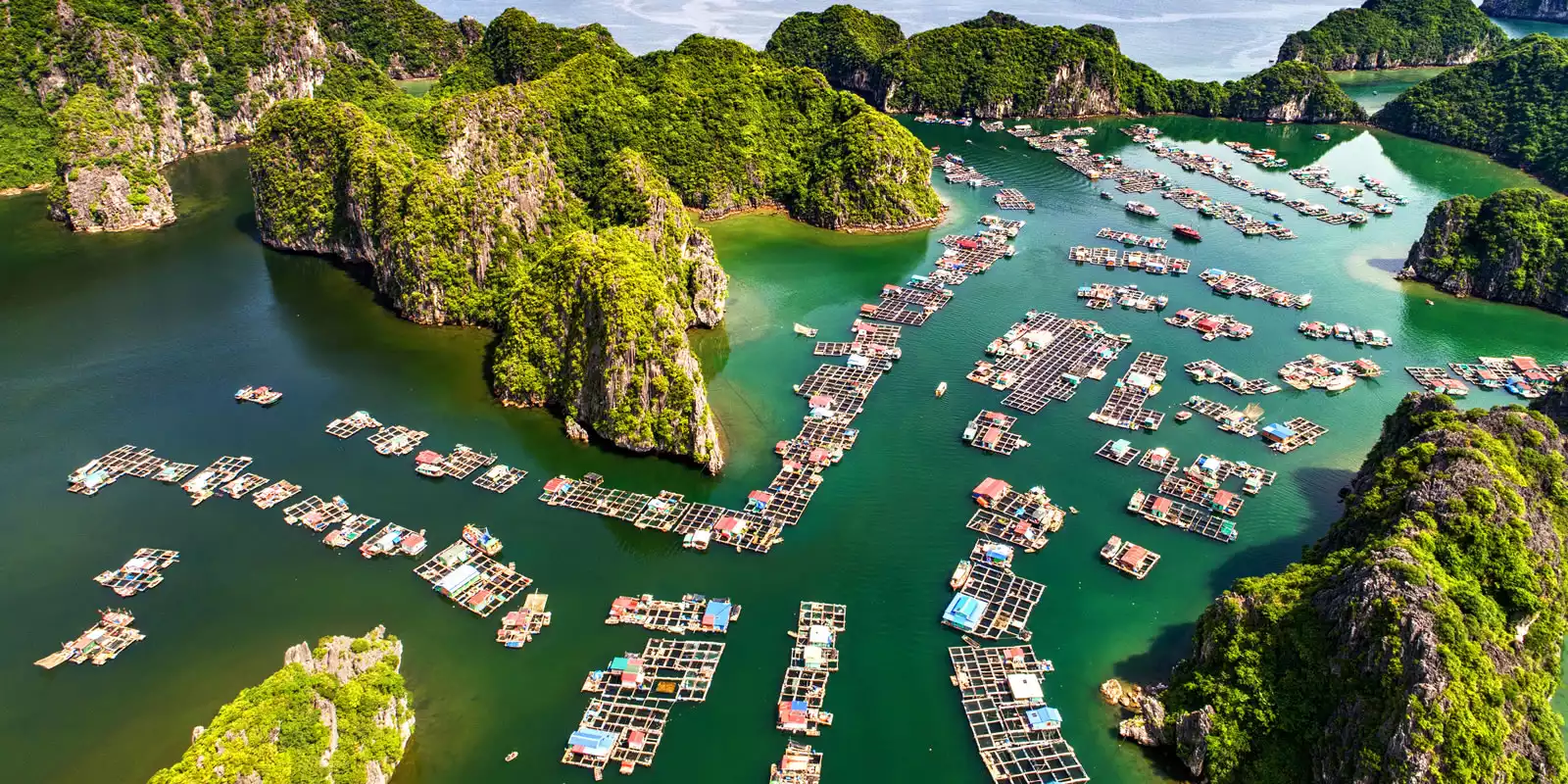 Explore a floating village