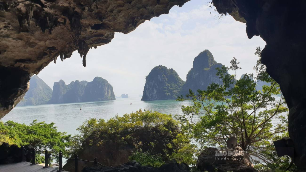 Ha Long Diamond Cruise Trong Cave 1