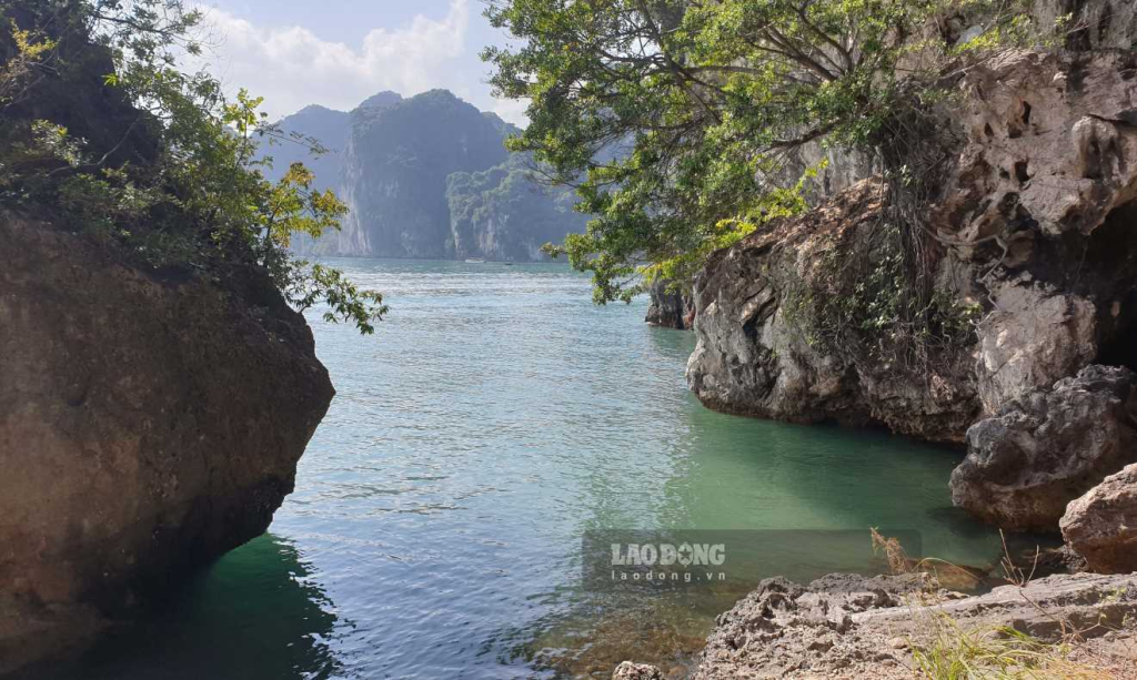 Ha Long Diamond Cruise Trong Cave 2