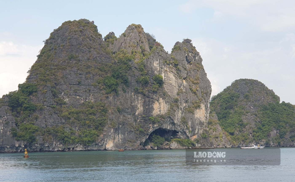 Ha Long Diamond Cruise Trong Cave Overview